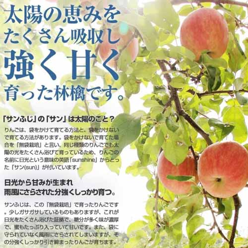 りんごジュースの画像