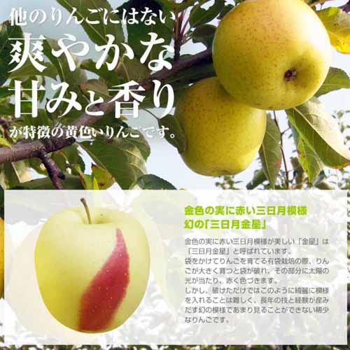 りんごジュースの画像