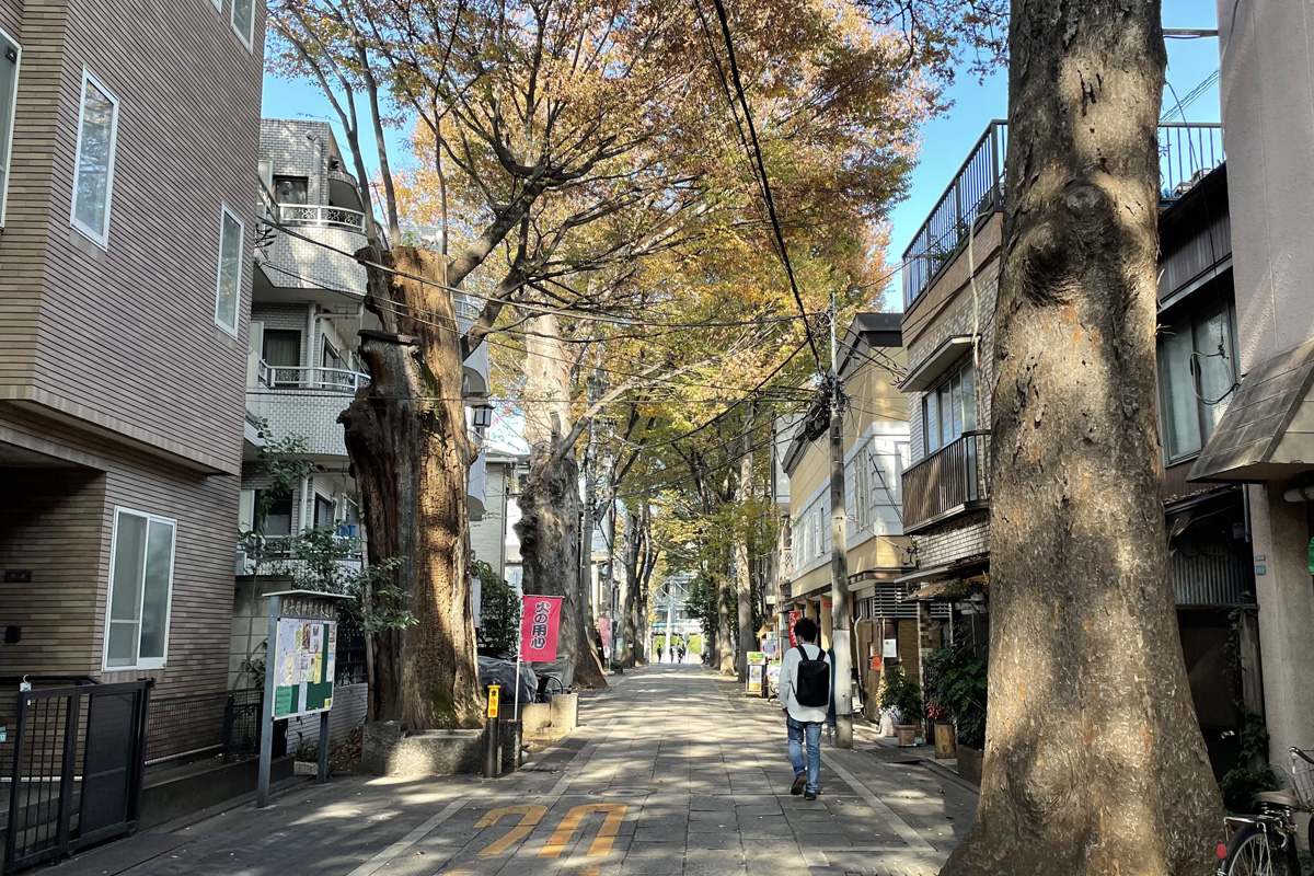 街歩き No.021 雑司が谷｜都電に揺られ雑司ヶ谷七福神をめぐる、ご利益たっぷりな小旅