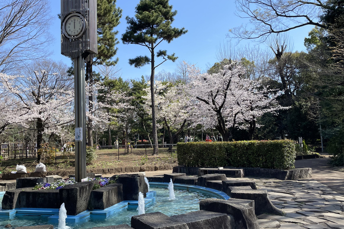 街歩き No.022 広尾｜お花見から美術館まで半日で巡る、春を満喫する桜色の広尾散歩