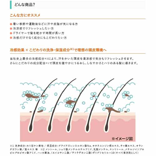 シャンプー＆コンディショナーの画像
