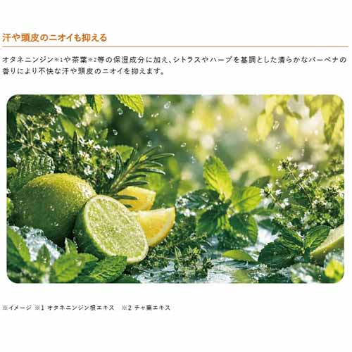 シャンプー＆コンディショナーの画像