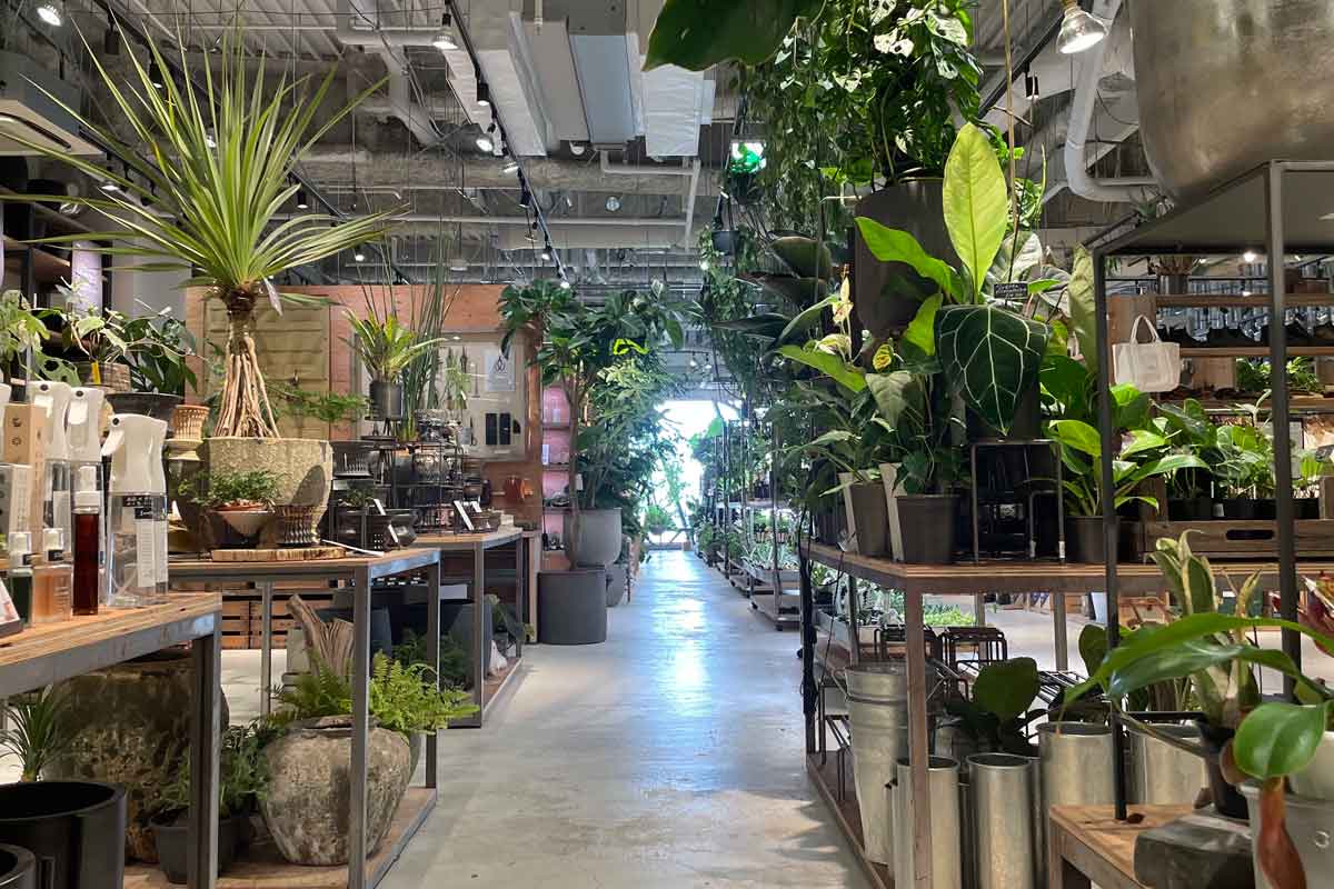 garage SHIBUYA（ガレージシブヤ）│都会のド真ん中で「植物と暮らす」世界観を楽しむ