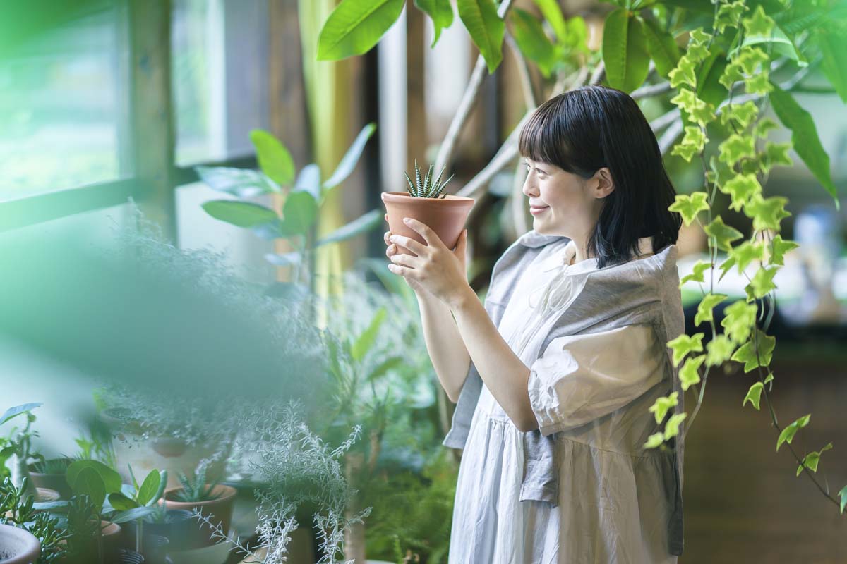 プレゼントにおすすめの多肉植物26選！喜ばれる選び方のコツをプロが解説