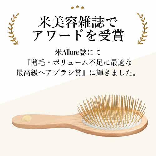 ヘアブラシの画像