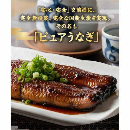 国産うなぎ蒲焼の画像