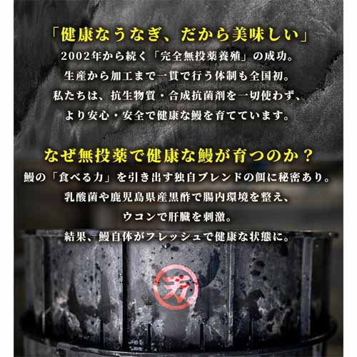 国産うなぎ蒲焼の画像