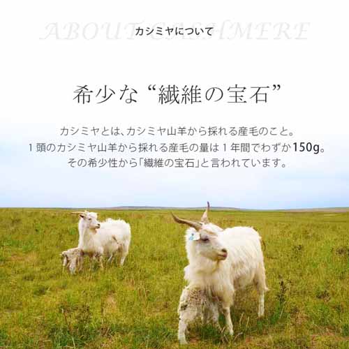 カシミヤ100%大判ストールの画像