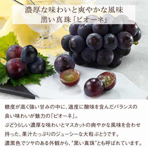 旬の国産フルーツのセットの画像