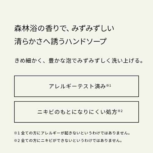 BAUMハンドソープの画像