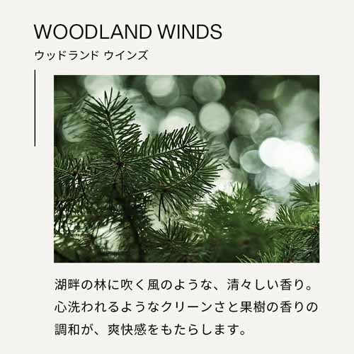 BAUMハンドソープの画像