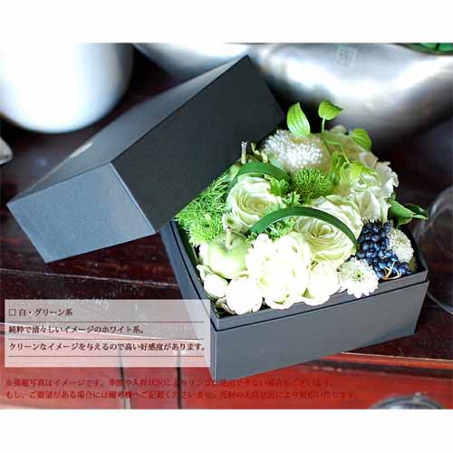 ボックスフラワーに関する画像