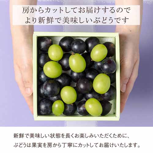旬の国産フルーツ詰め合わせの画像