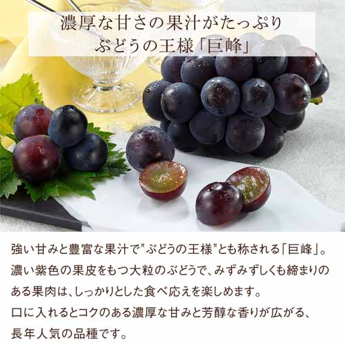 旬の国産フルーツ詰め合わせの画像