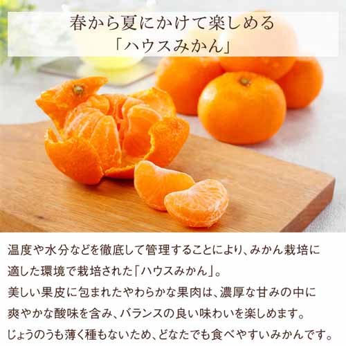 旬の国産フルーツ詰め合わせの画像