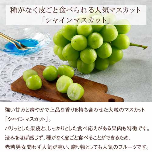 旬の国産フルーツ詰め合わせの画像