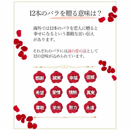 バラの画像