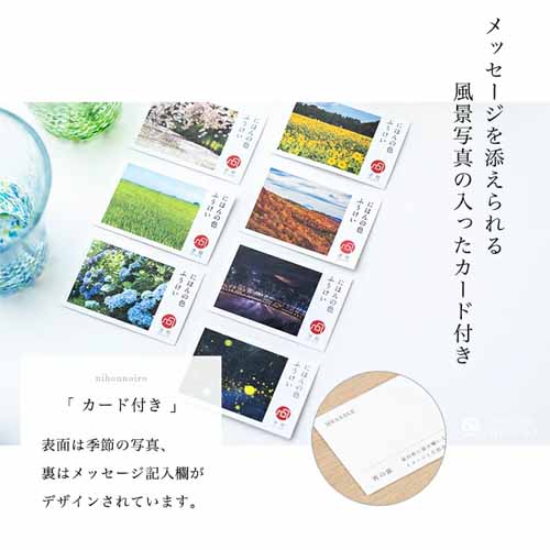 一輪挿しの画像