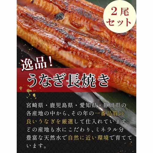 うなぎの画像