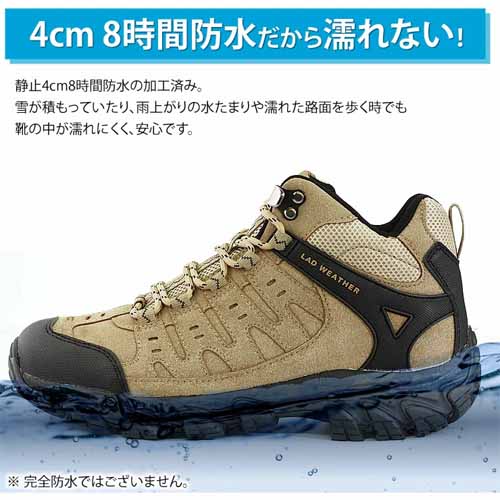シューズの画像