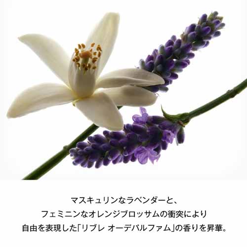 ハンドクリームの画像