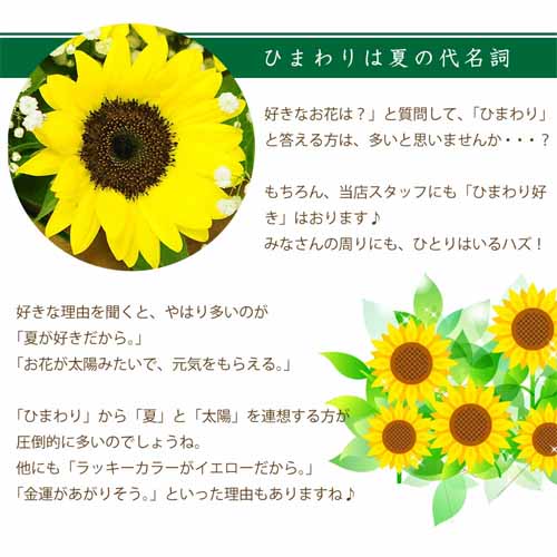 バラの画像
