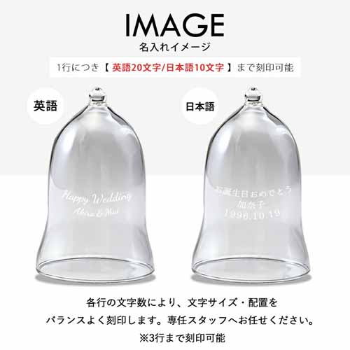 バラの画像