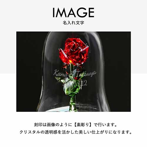 バラの画像