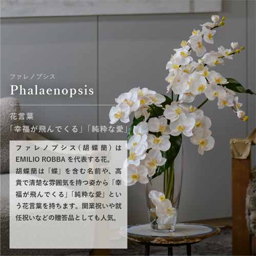 造花の画像