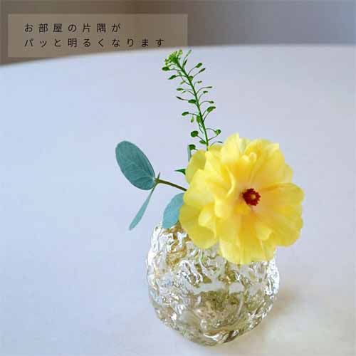 一輪挿しの画像