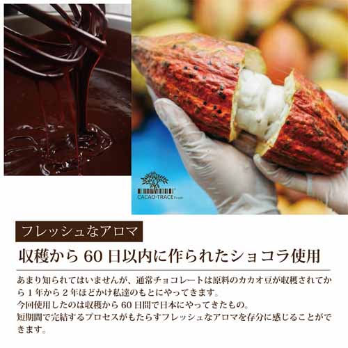 テリーヌショコラの画像