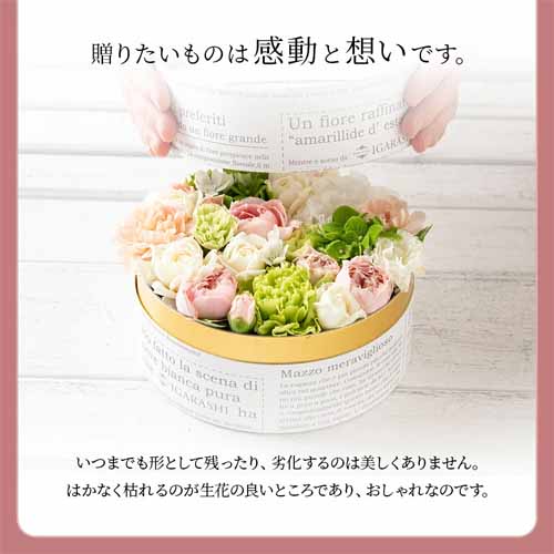 花の画像
