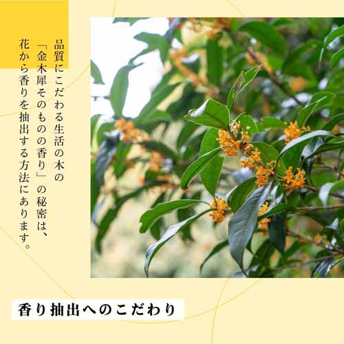 ハンドウォッシュの画像