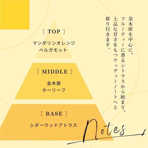ハンドウォッシュの画像