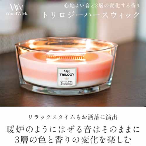 キャンドルの画像