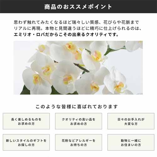 造花の画像