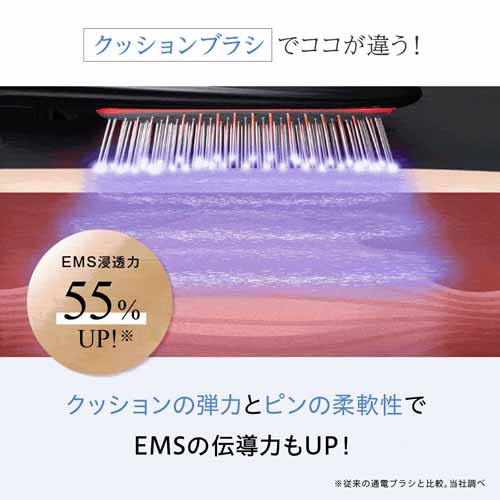 電気ブラシの画像