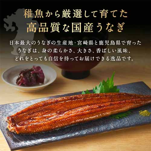 うなぎの画像