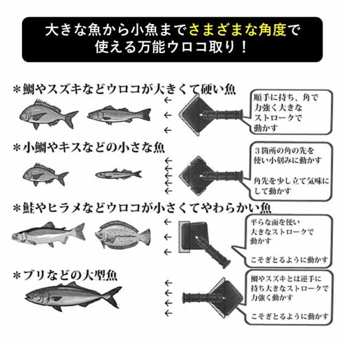 うろこ取りの画像