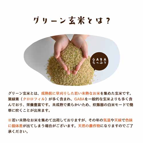 玄米の画像