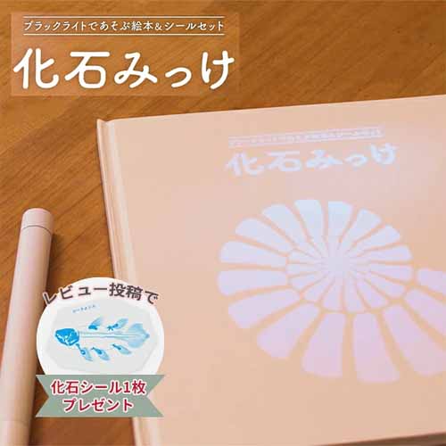 化石発掘キットの画像