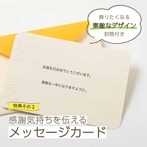 新聞ギフトの画像