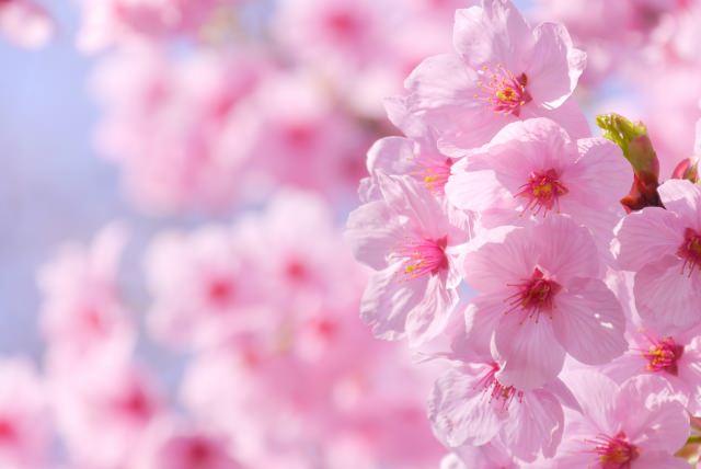 4月のイベント