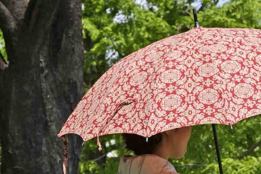 小宮商店の洋傘