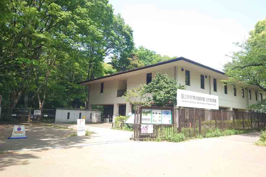 自然教育園